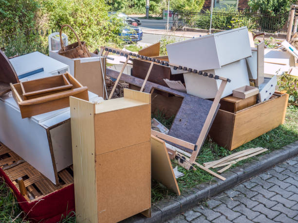 Best Yard Cleanup Services  in Williamston, MI